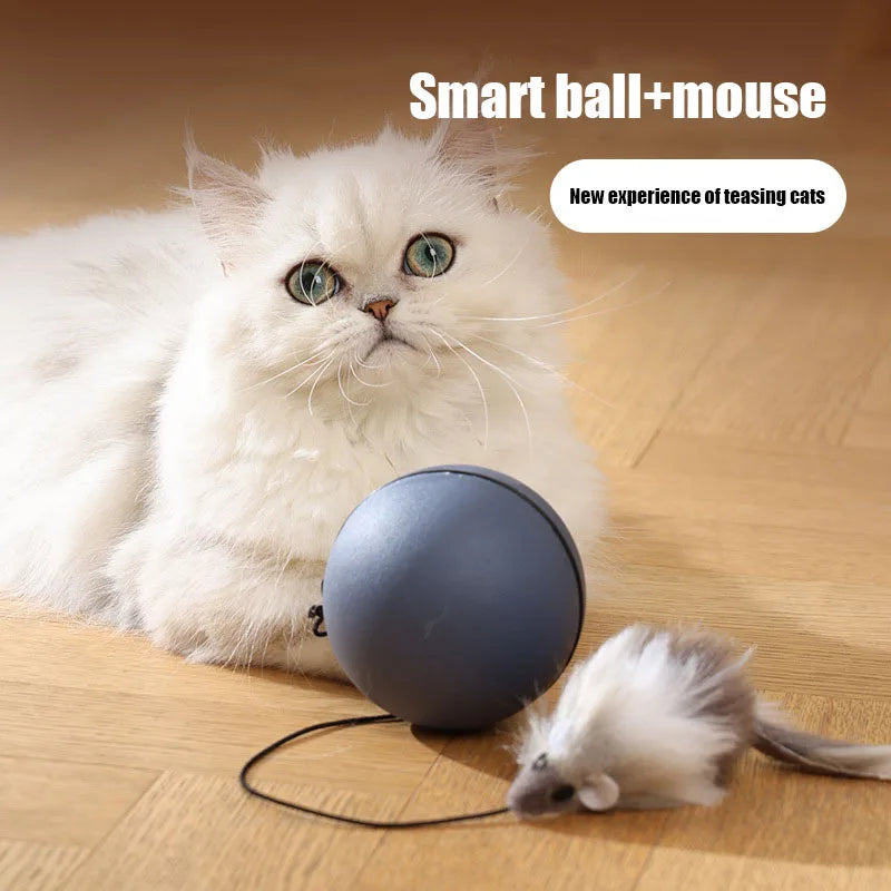 Kimpets Electric Moving Mouse Teaser Ball for Cats & Dogs